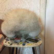 Шапка, в Красноярске