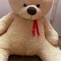 Плюшевый мишка, в Москве