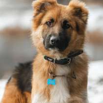 Малыш ищет семью!, в Москве