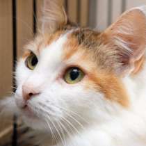 Обаятельная Ариадна ждет судьбоносной встречи, в Москве