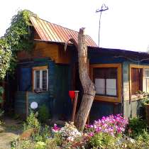Продам ухоженный сад в Любителе-3, в Челябинске