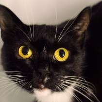 Трогательная Урсула в поисках заботливого человека, в Москве