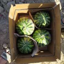 Фрукты и Овощи из Солнечного Узбекистана, в г.Ташкент