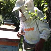 Продам пчелосемьи, в Туле
