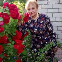 Татьяна, 67 лет, хочет пообщаться, в г.Минск