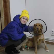 Передержка стационар и реабилитация для животных, в Санкт-Петербурге