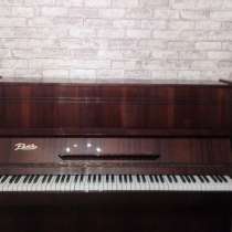 Пианоно, в Бийске