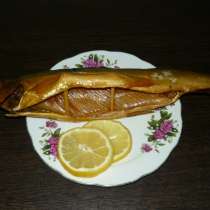 Северная рыба, в Кемерове