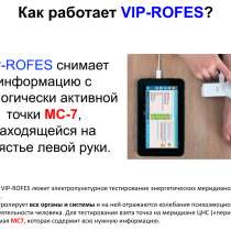 VIP-Rofes - Термометр Здоровья, в Комсомольске-на-Амуре