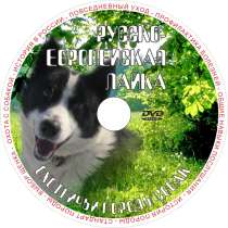 Фильмы о собаках на DVD, в Иркутске