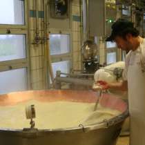 Экскурсия на производство: итальянский сыр с плесенью Горгон, в г.Милан