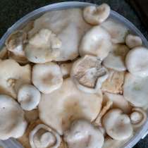 продам грибы грузди оптом, в Рубцовске