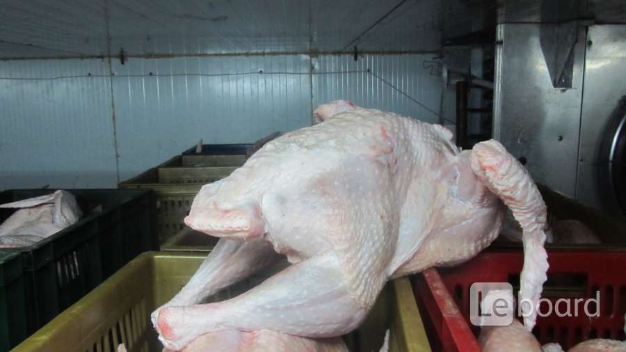 индейки самара. борская индейка. кирова 233 самара. борская индейка соковнинка. индейки самара.