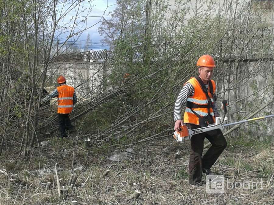 Очистка участка от деревьев. Расчистка участка от поросли. Расчистка территории от кустарников. Спил деревьев расчистка участка. Очистка участка от деревьев и кустарников.